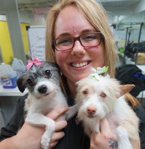 Woman hugging 2 dogs