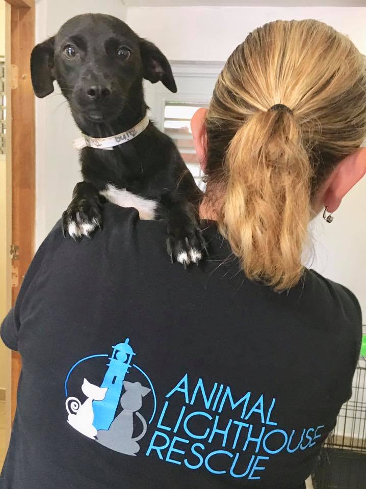 Woman with a rescue dog from Puerto Rico