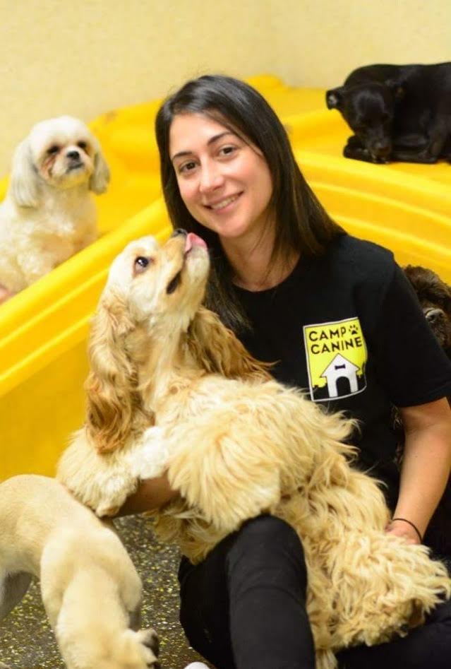 Staff member playing with dogs