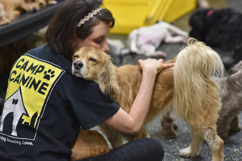 Staff member hugging a dog