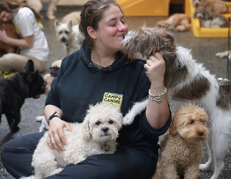 Staff playing with dogs in daycare