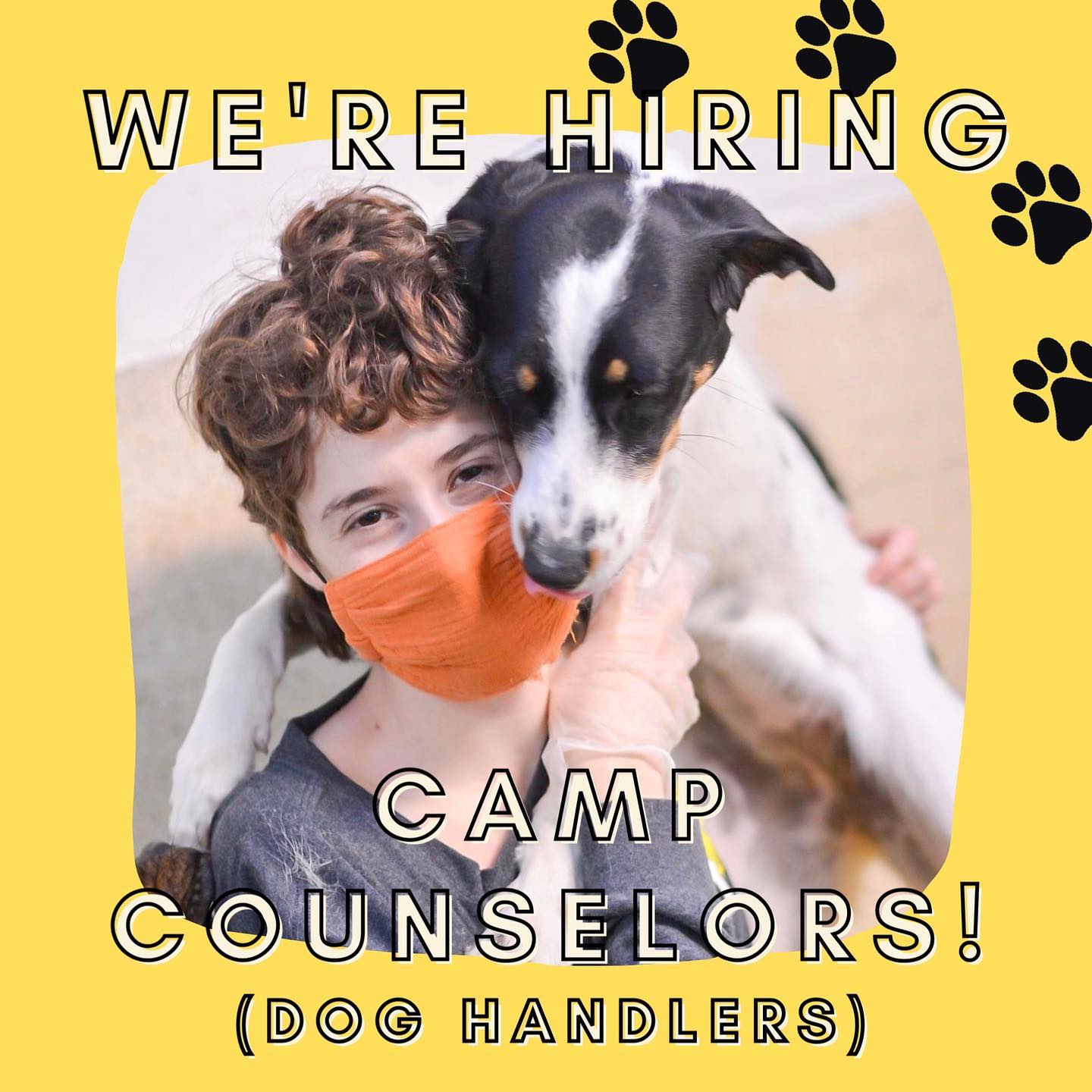 We're Hiring! Camp Canine New York