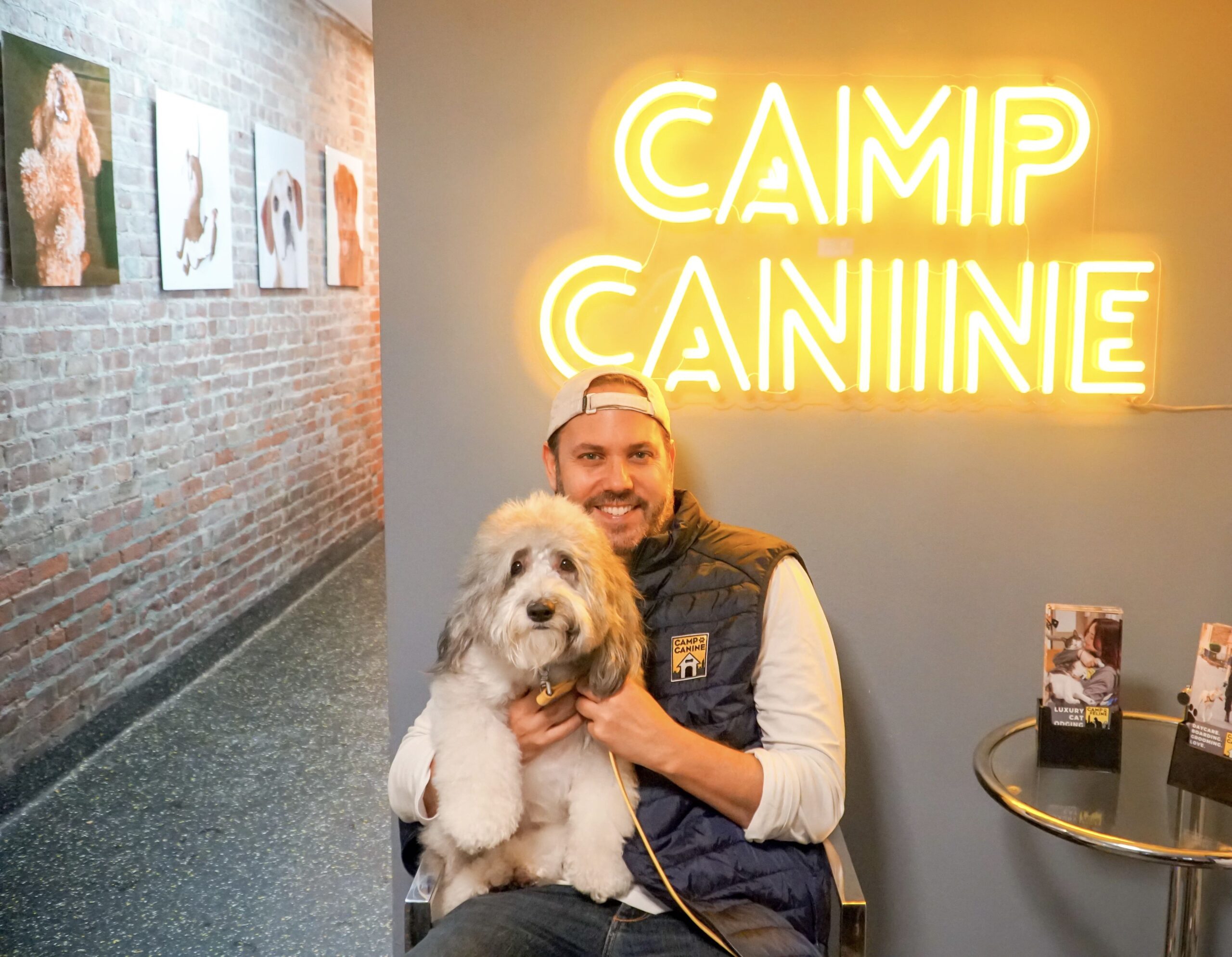 Camp Canine's 2022 Highlights - Camp Canine New York