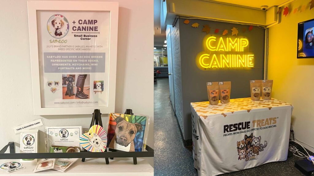 Camp Canine's 2022 Highlights - Camp Canine New York