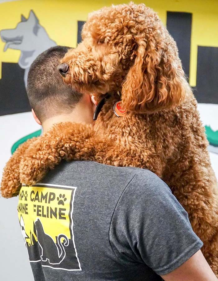 camp canine staff member holding a dog on their shoulder