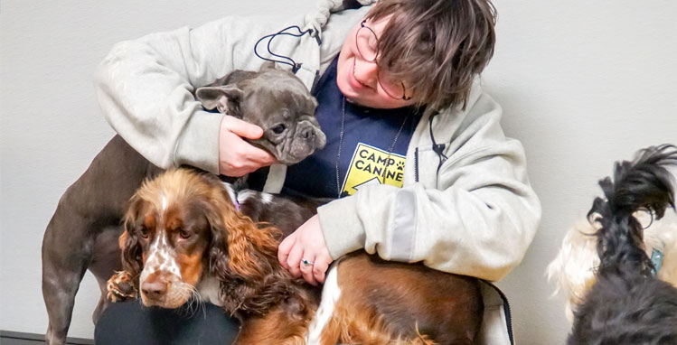 Staff hugging two happy dogs