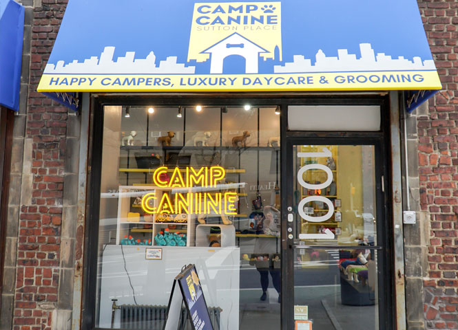 Camp Canine Sutton Place