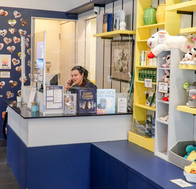 Front desk at Camp Canine