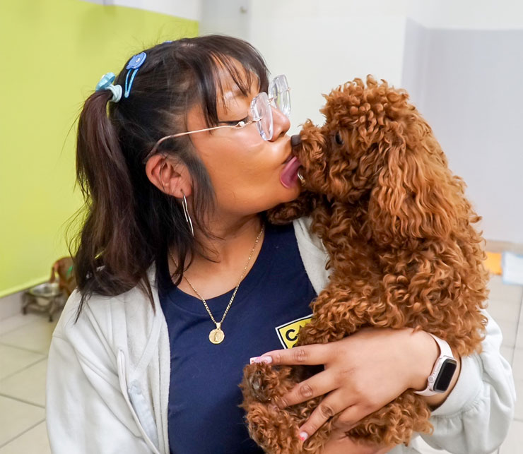 staff giving dog a kiss